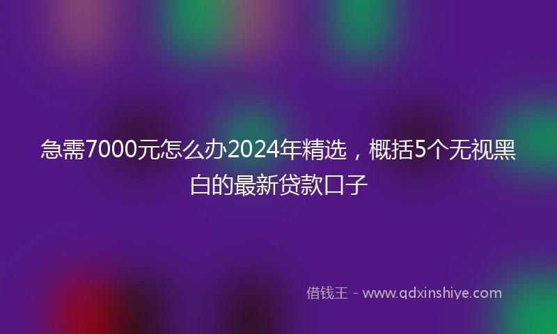 急需7000元怎么办2024年精选，概括5个无视黑白的最新贷款口子