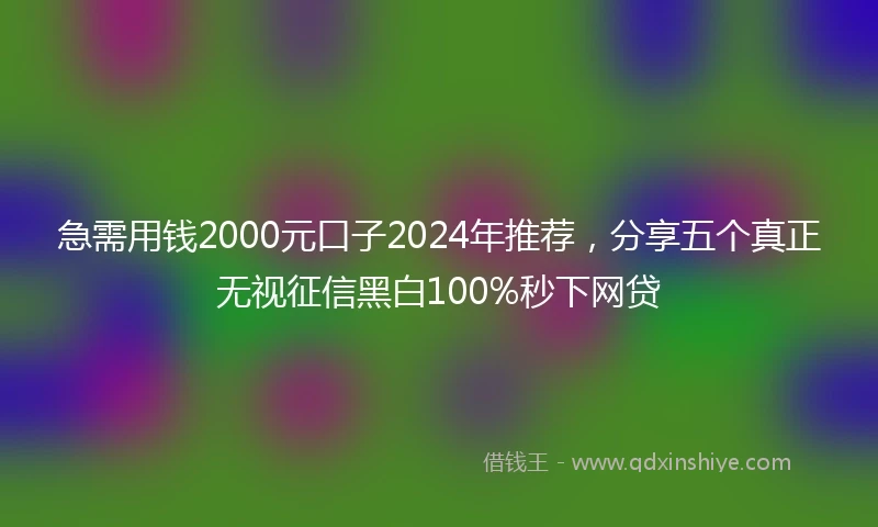 急需用钱2000元口子2024年推荐，分享五个真正无视征信黑白100%秒下网贷