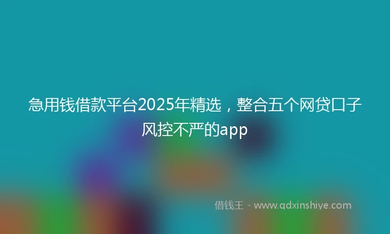 急用钱借款平台2025年精选，整合五个网贷口子风控不严的app