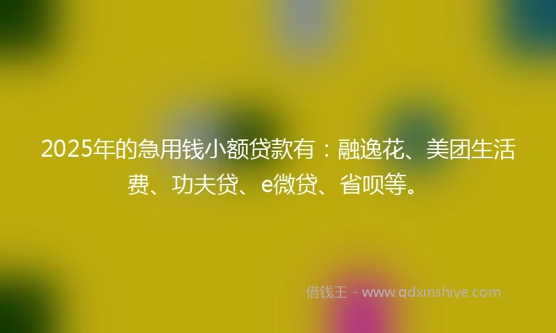 2025年的急用钱小额贷款有：融逸花、美团生活费、功夫贷、e微贷、省呗等。