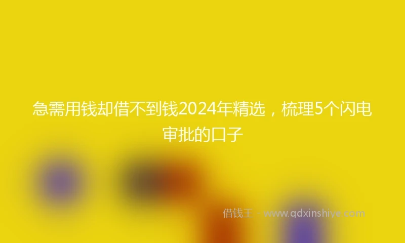 急需用钱却借不到钱2024年精选，梳理5个闪电审批的口子