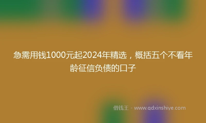 急需用钱1000元起2024年精选，概括五个不看年龄征信负债的口子