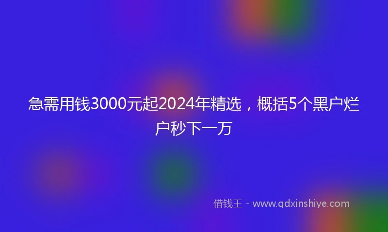 急需用钱3000元起2024年精选，概括5个黑户烂户秒下一万