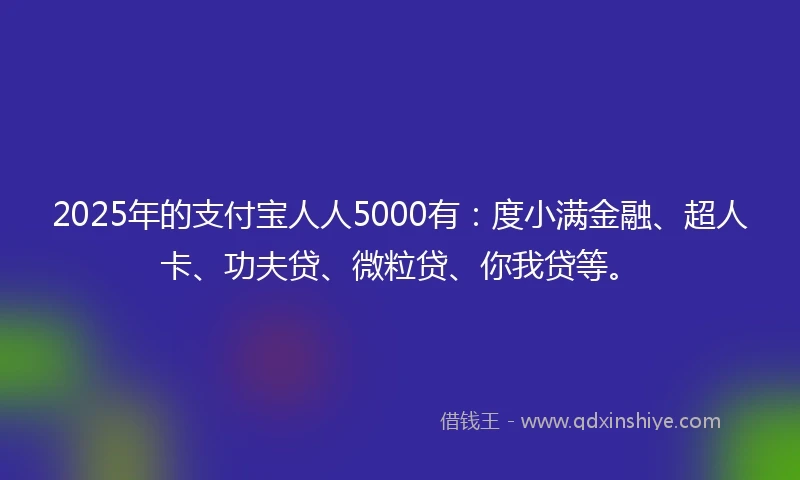2025年的支付宝人人5000有：度小满金融、超人卡、功夫贷、微粒贷、你我贷等。
