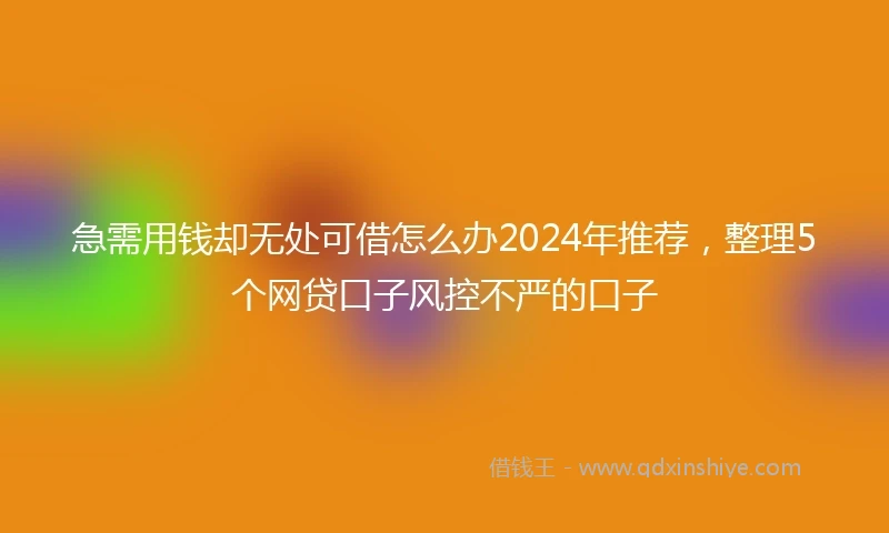 急需用钱却无处可借怎么办2024年推荐，整理5个网贷口子风控不严的口子