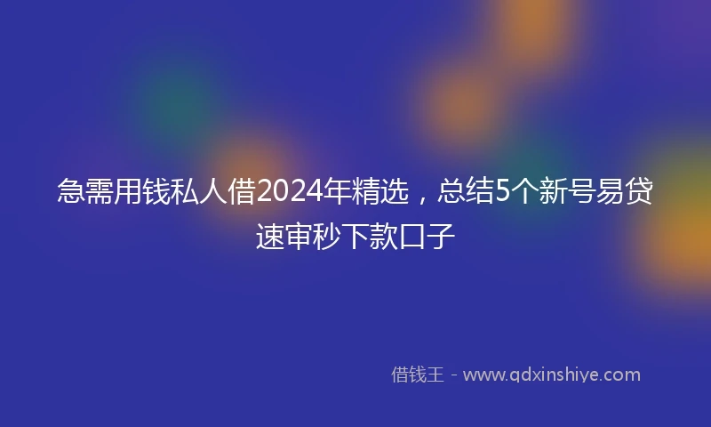 急需用钱私人借2024年精选，总结5个新号易贷速审秒下款口子