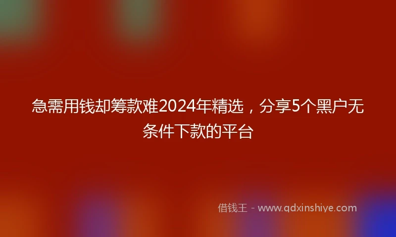 急需用钱却筹款难2024年精选，分享5个黑户无条件下款的平台