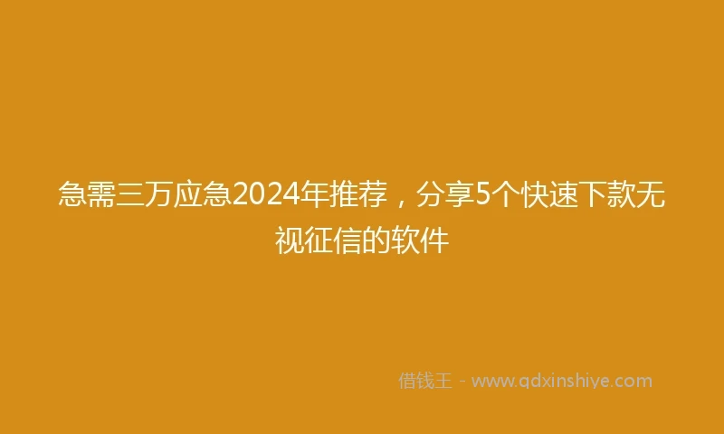 急需三万应急2024年推荐，分享5个快速下款无视征信的软件