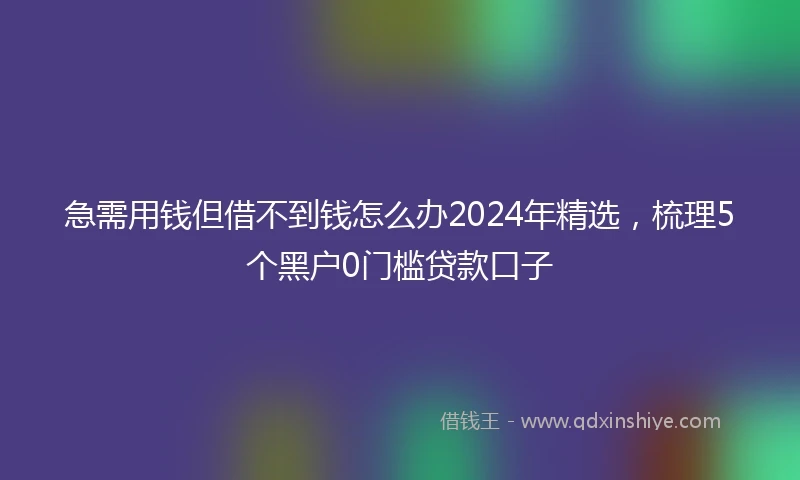 急需用钱但借不到钱怎么办2024年精选，梳理5个黑户0门槛贷款口子