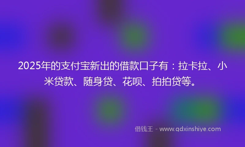 2025年的支付宝新出的借款口子有：拉卡拉、小米贷款、随身贷、花呗、拍拍贷等。