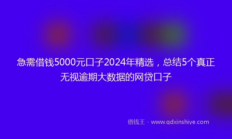 急需借钱5000元口子2024年精选，总结5个真正无视逾期大数据的网贷口子