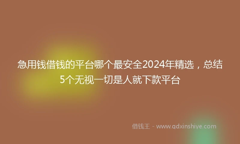 急用钱借钱的平台哪个最安全2024年精选，总结5个无视一切是人就下款平台