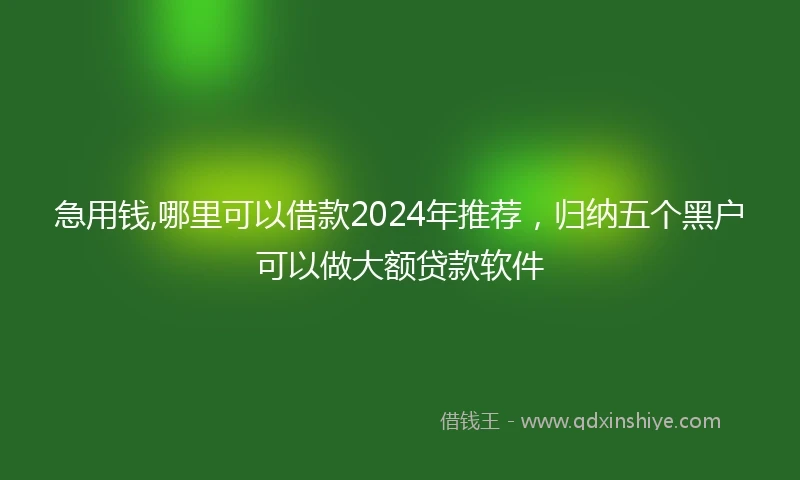 急用钱,哪里可以借款2024年推荐，归纳五个黑户可以做大额贷款软件