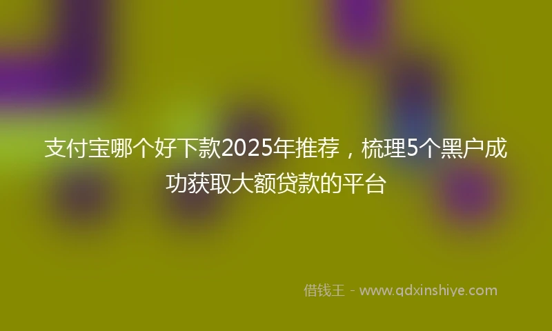 支付宝哪个好下款2025年推荐，梳理5个黑户成功获取大额贷款的平台