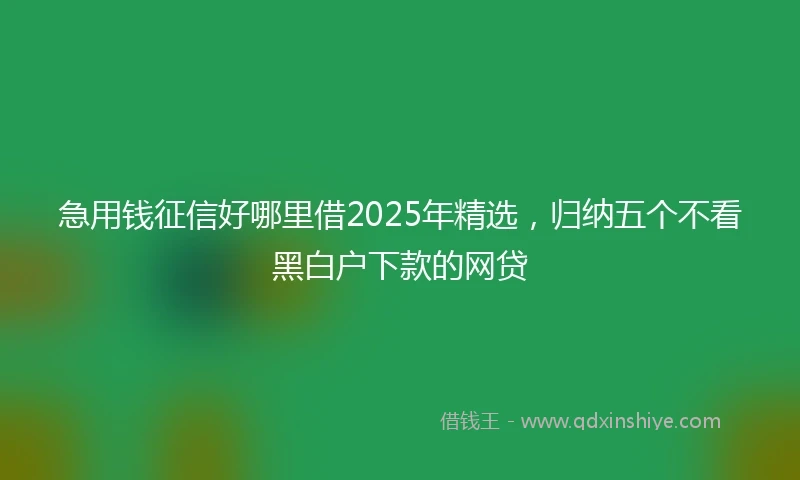 急用钱征信好哪里借2025年精选，归纳五个不看黑白户下款的网贷