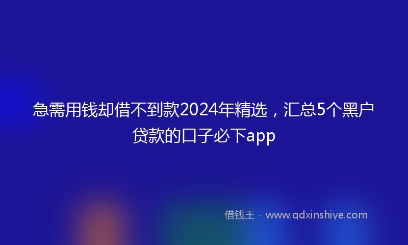 急需用钱却借不到款2024年精选，汇总5个黑户贷款的口子必下app