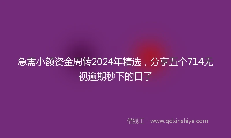 急需小额资金周转2024年精选，分享五个714无视逾期秒下的口子