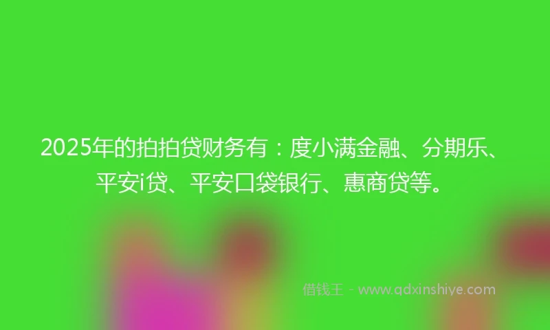 2025年的拍拍贷财务有：度小满金融、分期乐、平安i贷、平安口袋银行、惠商贷等。