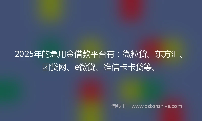 2025年的急用金借款平台有：微粒贷、东方汇、团贷网、e微贷、维信卡卡贷等。