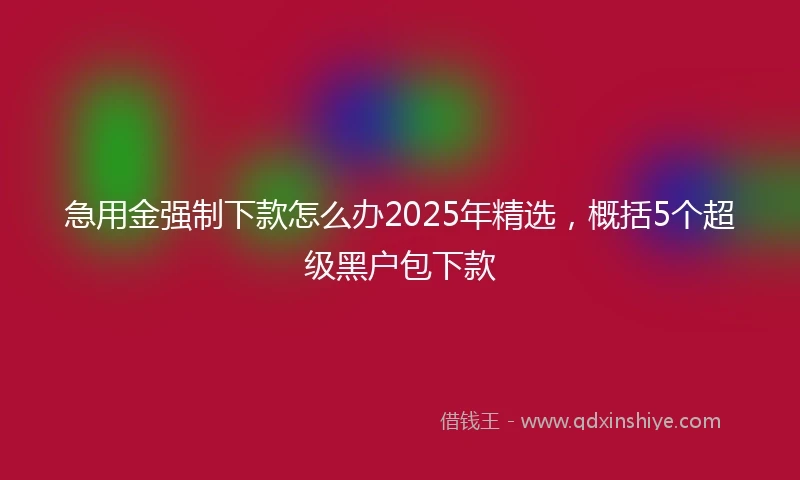 急用金强制下款怎么办2025年精选，概括5个超级黑户包下款