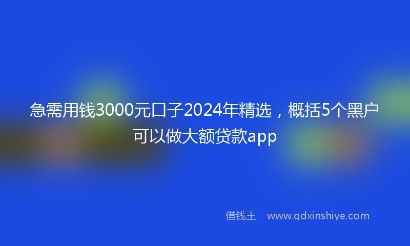 急需用钱3000元口子2024年精选，概括5个黑户可以做大额贷款app
