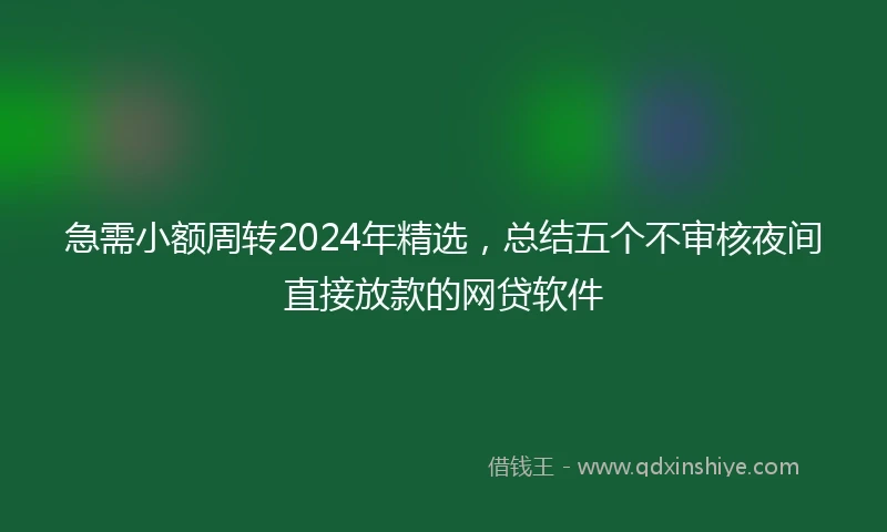 急需小额周转2024年精选，总结五个不审核夜间直接放款的网贷软件