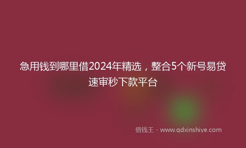 急用钱到哪里借2024年精选，整合5个新号易贷速审秒下款平台