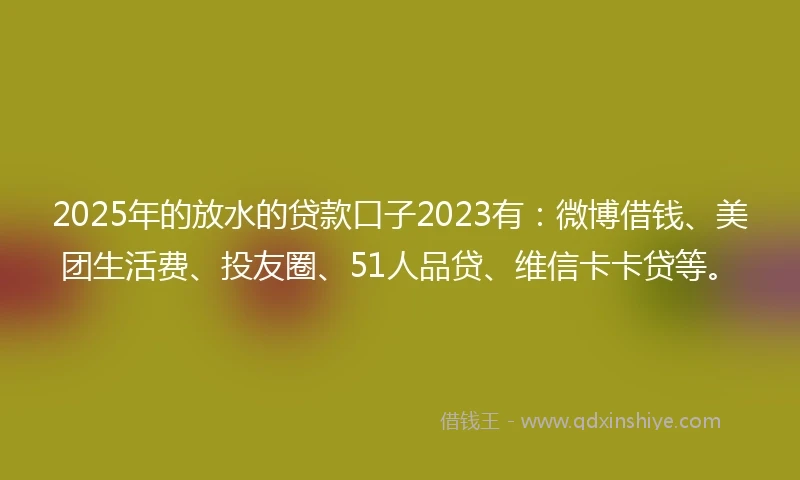 2025年的放水的贷款口子2023有：微博借钱、美团生活费、投友圈、51人品贷、维信卡卡贷等。