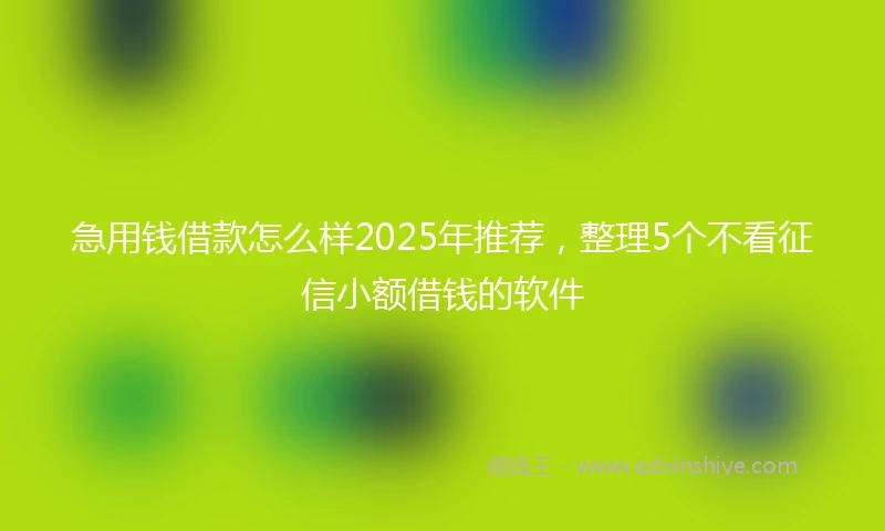 急用钱借款怎么样2025年推荐，整理5个不看征信小额借钱的软件