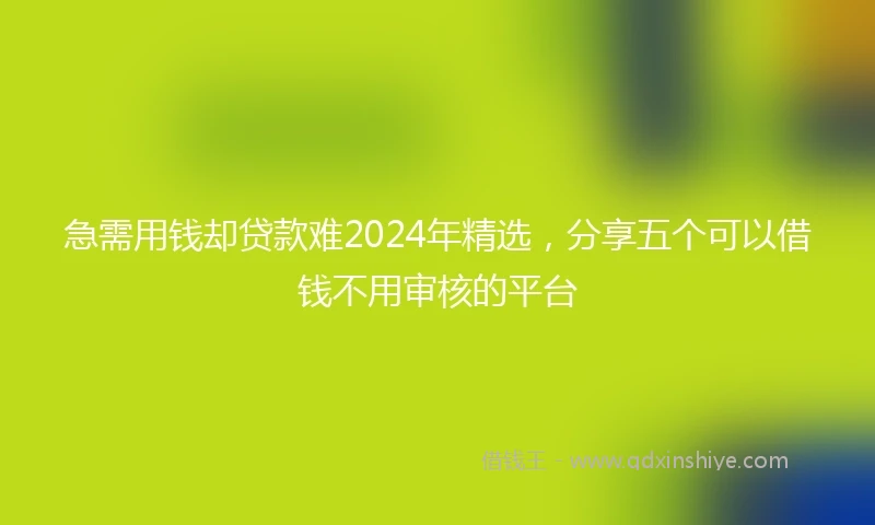 急需用钱却贷款难2024年精选，分享五个可以借钱不用审核的平台