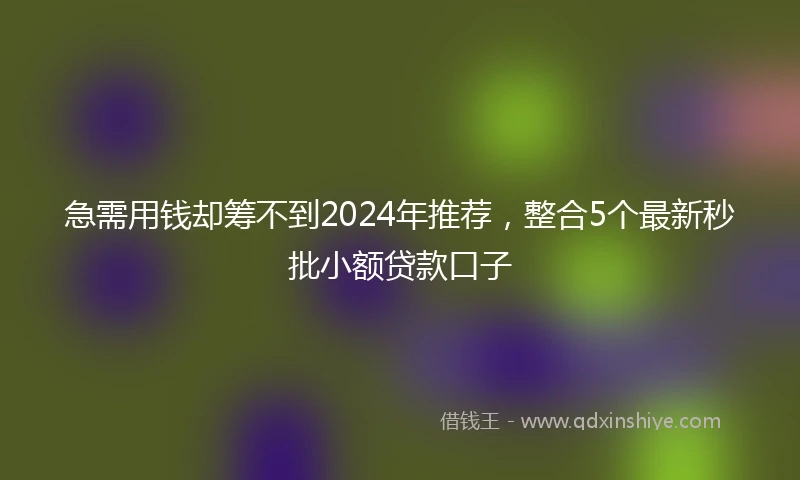 急需用钱却筹不到2024年推荐，整合5个最新秒批小额贷款口子