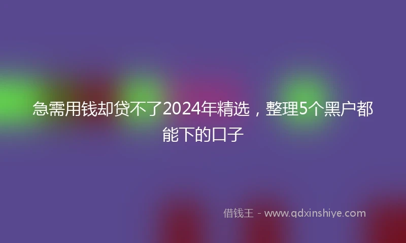 急需用钱却贷不了2024年精选，整理5个黑户都能下的口子