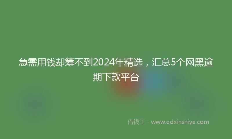 急需用钱却筹不到2024年精选，汇总5个网黑逾期下款平台