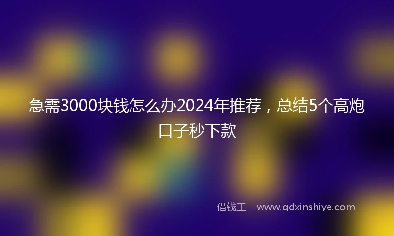 急需3000块钱怎么办2024年推荐，总结5个高炮口子秒下款