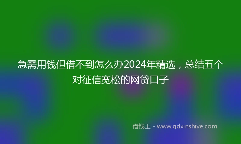 急需用钱但借不到怎么办2024年精选，总结五个对征信宽松的网贷口子