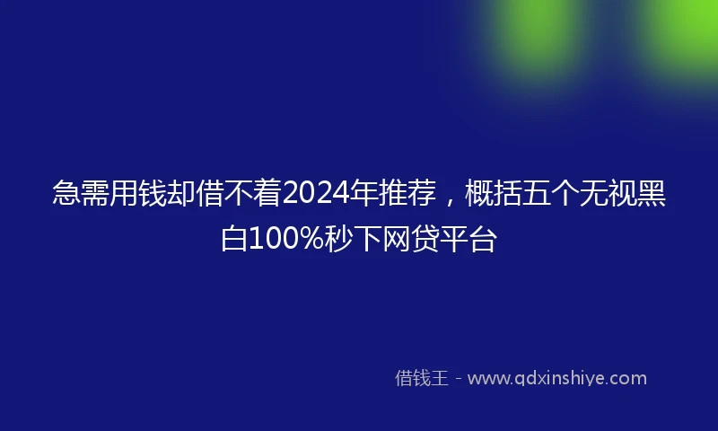 急需用钱却借不着2024年推荐，概括五个无视黑白100%秒下网贷平台