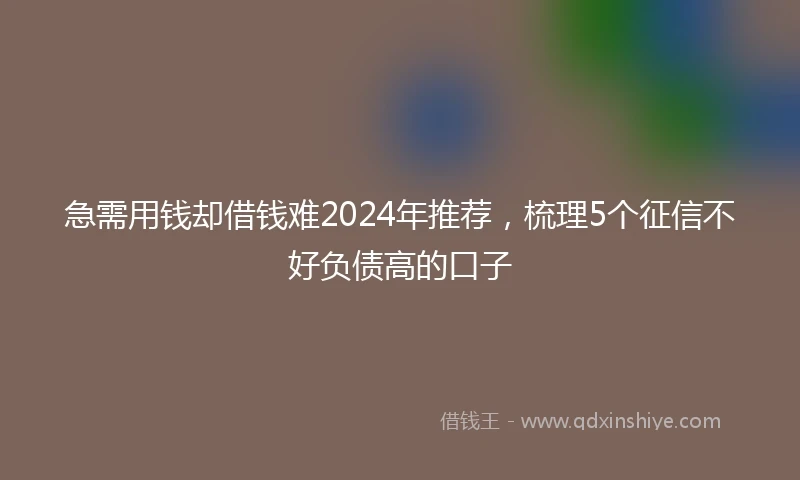 急需用钱却借钱难2024年推荐，梳理5个征信不好负债高的口子