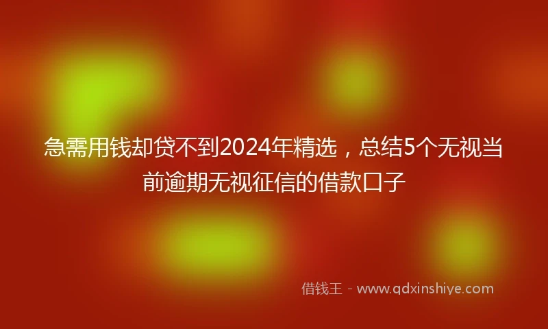 急需用钱却贷不到2024年精选，总结5个无视当前逾期无视征信的借款口子