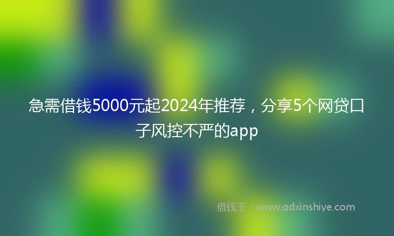 急需借钱5000元起2024年推荐，分享5个网贷口子风控不严的app