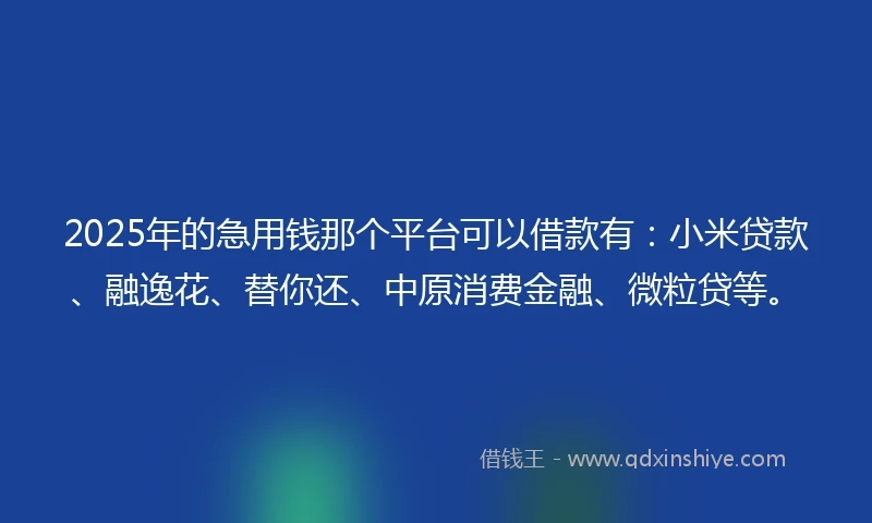 2025年的急用钱那个平台可以借款有：小米贷款、融逸花、替你还、中原消费金融、微粒贷等。