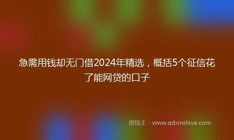 急需用钱却无门借2024年精选，概括5个征信花了能网贷的口子