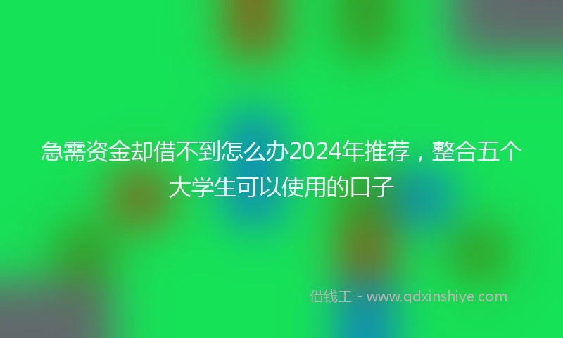 急需资金却借不到怎么办2024年推荐，整合五个大学生可以使用的口子