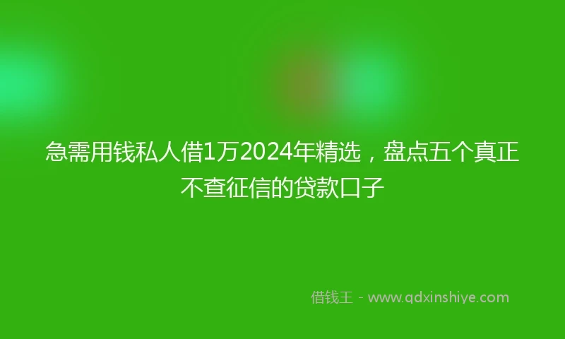 急需用钱私人借1万2024年精选，盘点五个真正不查征信的贷款口子