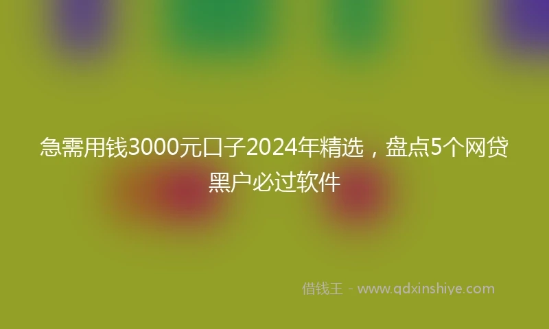 急需用钱3000元口子2024年精选，盘点5个网贷黑户必过软件