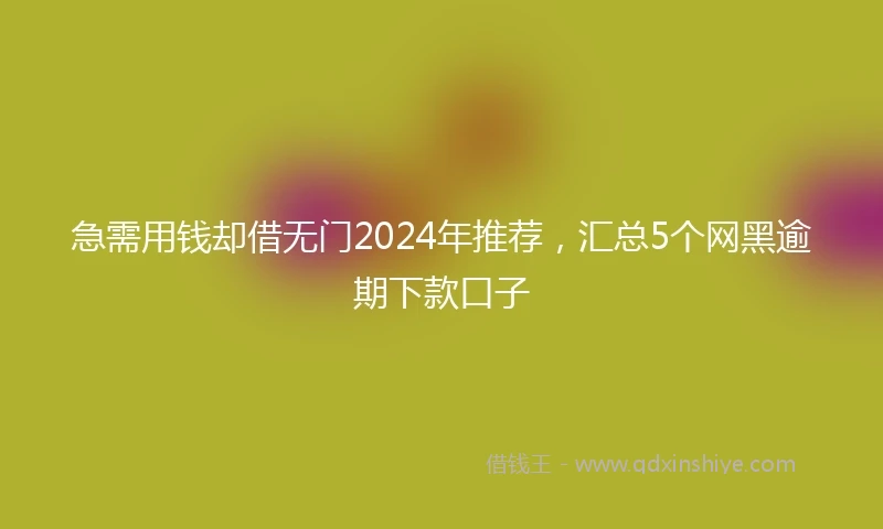 急需用钱却借无门2024年推荐，汇总5个网黑逾期下款口子