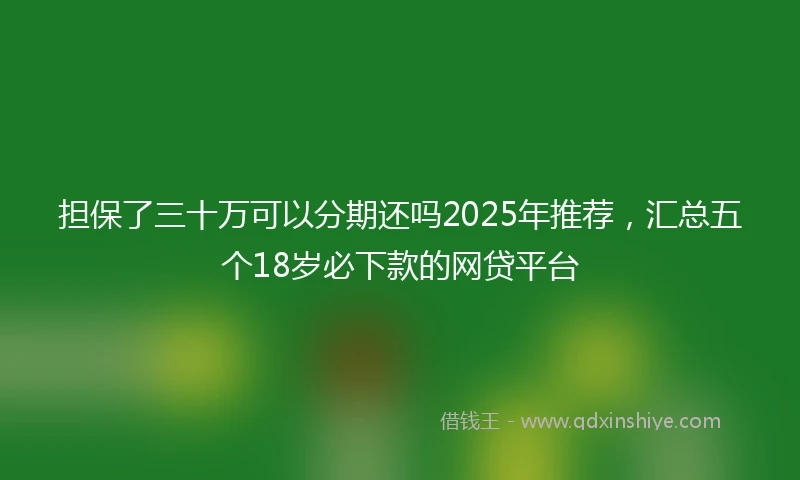 担保了三十万可以分期还吗2025年推荐，汇总五个18岁必下款的网贷平台
