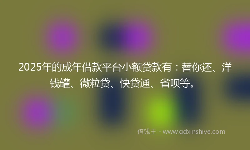 2025年的成年借款平台小额贷款有：替你还、洋钱罐、微粒贷、快贷通、省呗等。