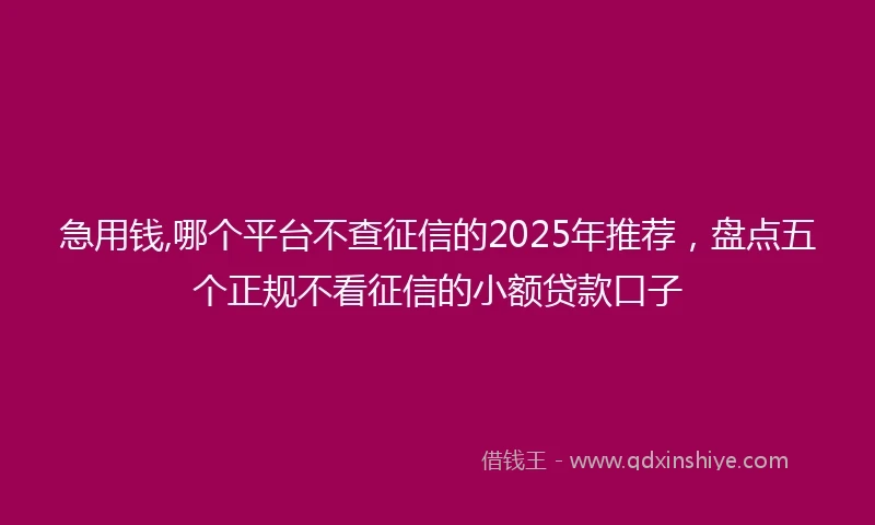 急用钱,哪个平台不查征信的2025年推荐，盘点五个正规不看征信的小额贷款口子