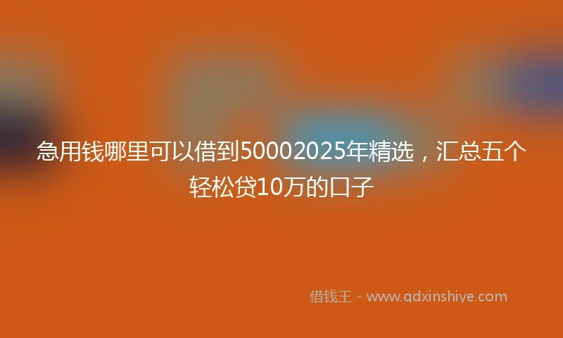 急用钱哪里可以借到50002025年精选，汇总五个轻松贷10万的口子