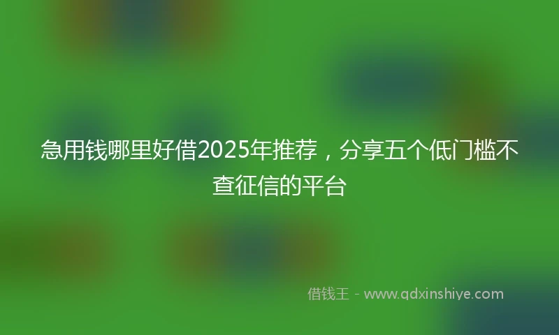 急用钱哪里好借2025年推荐，分享五个低门槛不查征信的平台